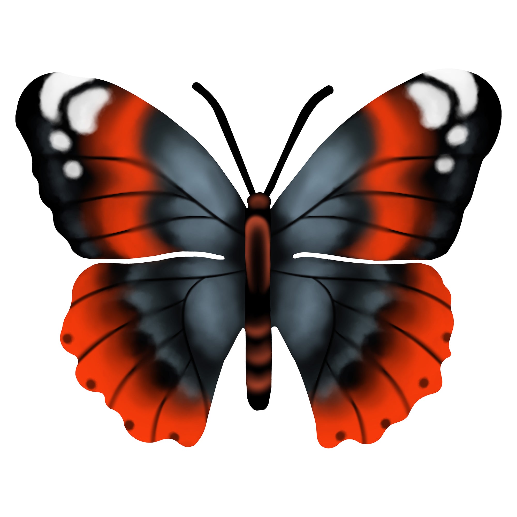 Butterfly Metal Wall Art for Home & Garden Metal Art Maker