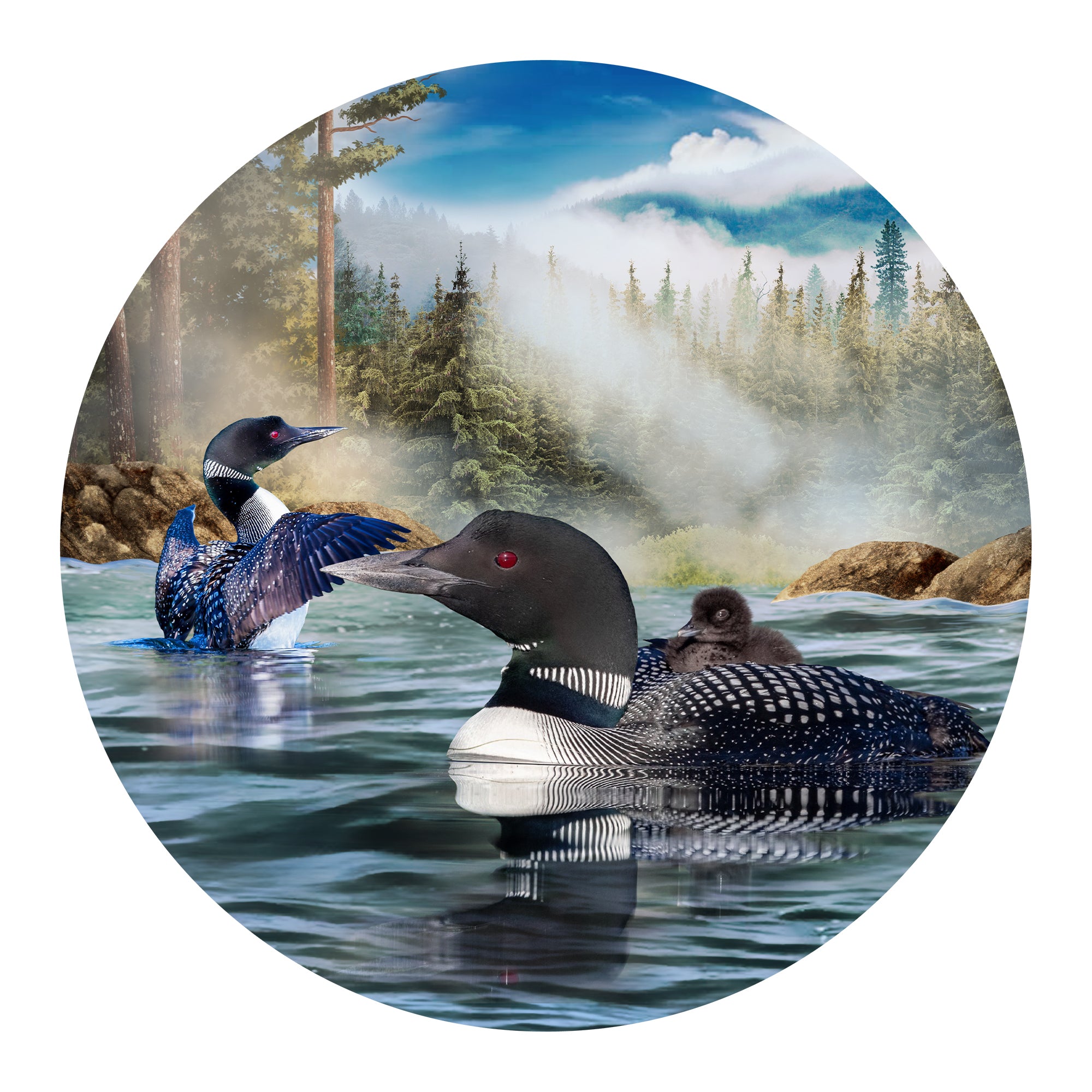 Loons Round Metal Wall Art Nature Loons On Round Metal Wall Décor