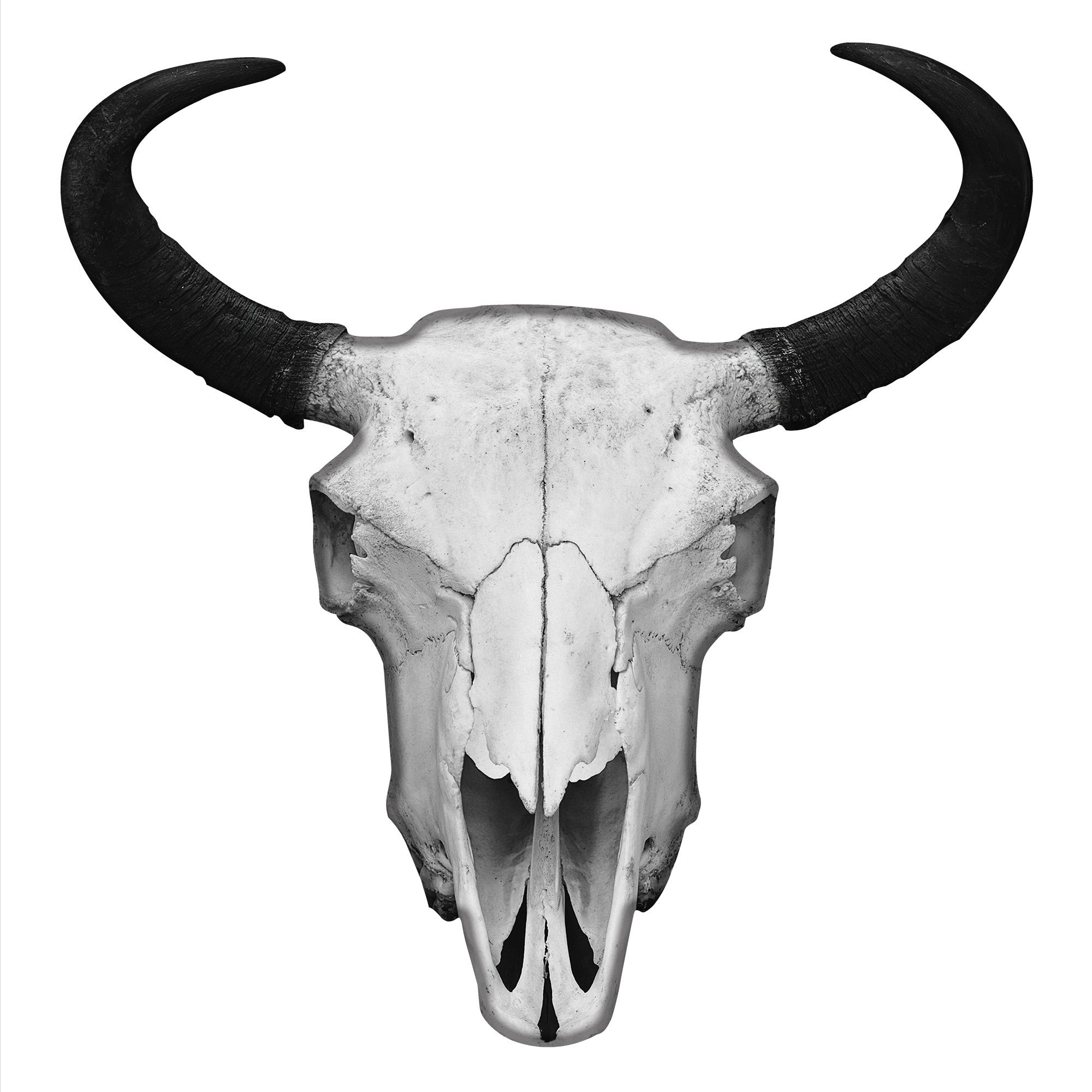 Bison Skull Metal Wall Art | Boho Home Décor – Metal Art Maker