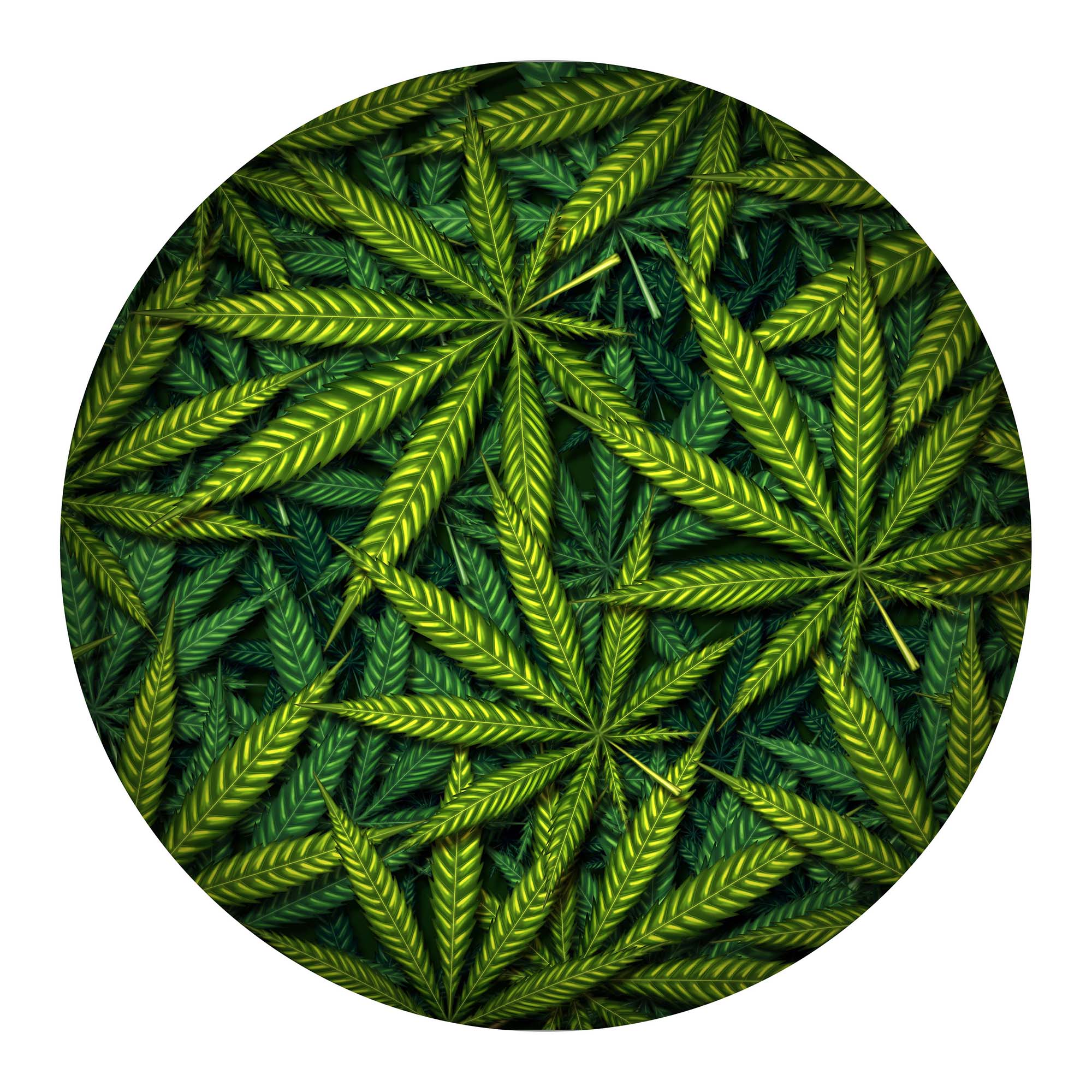 High Life Round Wall Art | decor featuring a certain kind of leaf ...